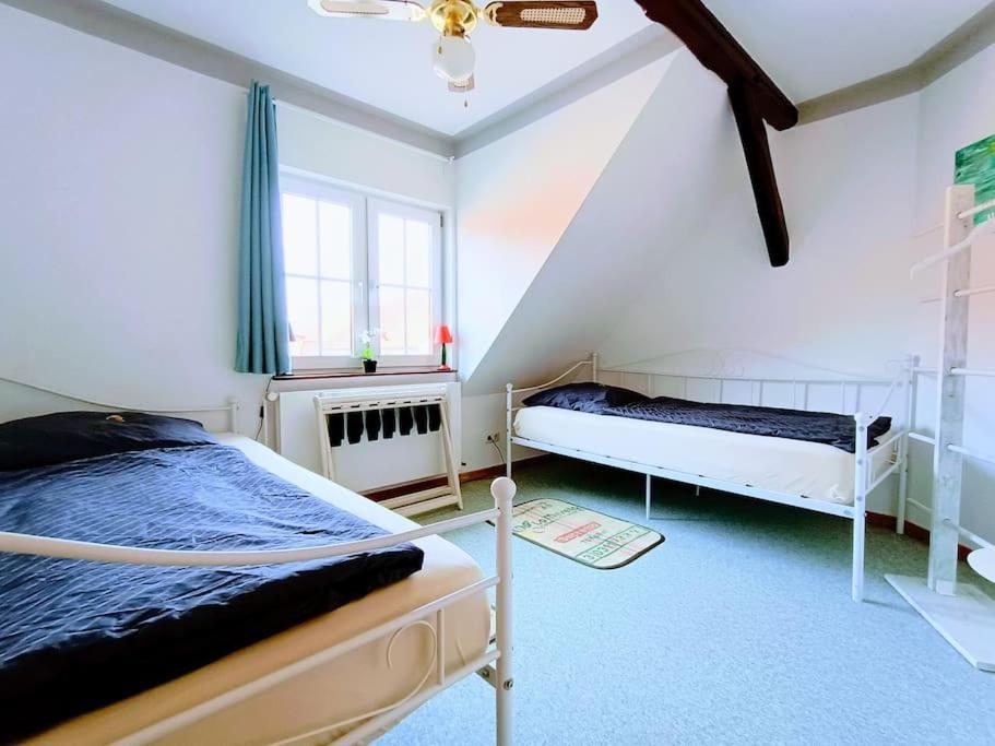 Ruhiges Exzellenz-Appartement Diana Im Elb-Urstromtal - Fast Wlan, Good For Long-Terms Bleckede Eksteriør billede