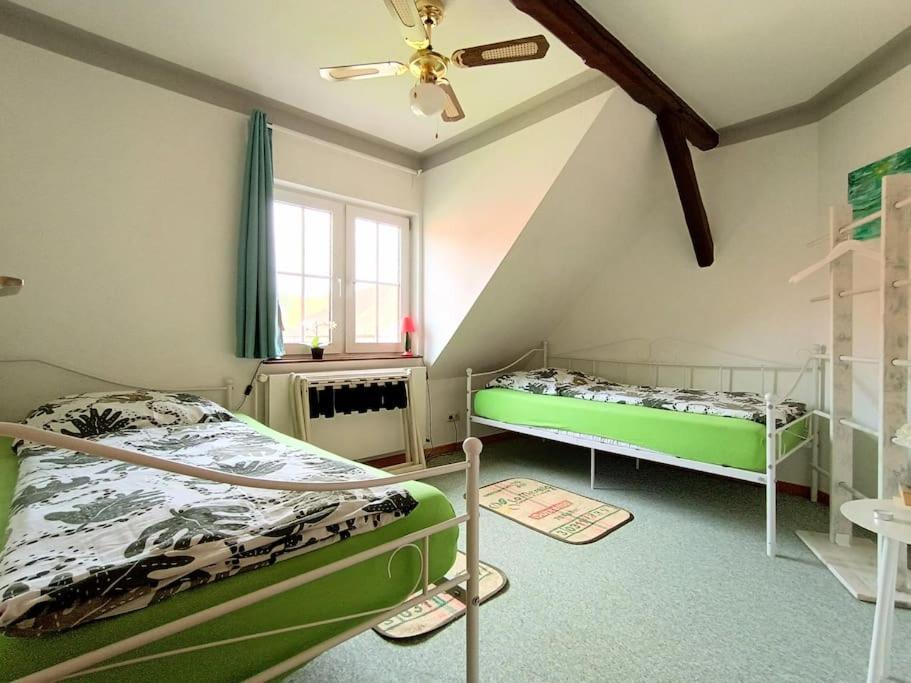 Ruhiges Exzellenz-Appartement Diana Im Elb-Urstromtal - Fast Wlan, Good For Long-Terms Bleckede Eksteriør billede