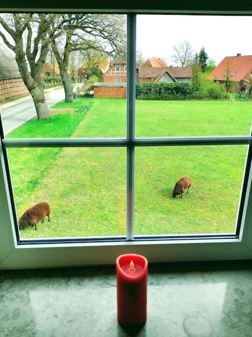 Ruhiges Exzellenz-Appartement Diana Im Elb-Urstromtal - Fast Wlan, Good For Long-Terms Bleckede Eksteriør billede