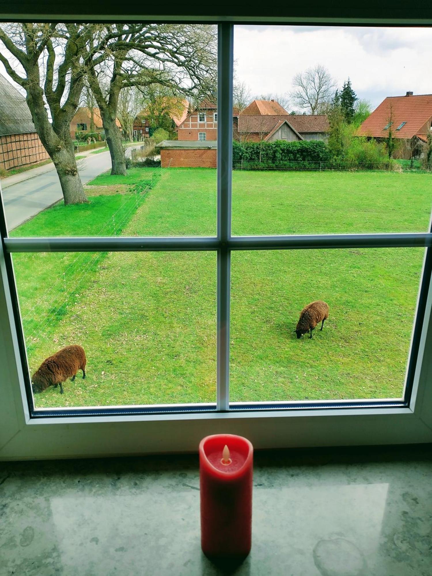 Ruhiges Exzellenz-Appartement Diana Im Elb-Urstromtal - Fast Wlan, Good For Long-Terms Bleckede Eksteriør billede